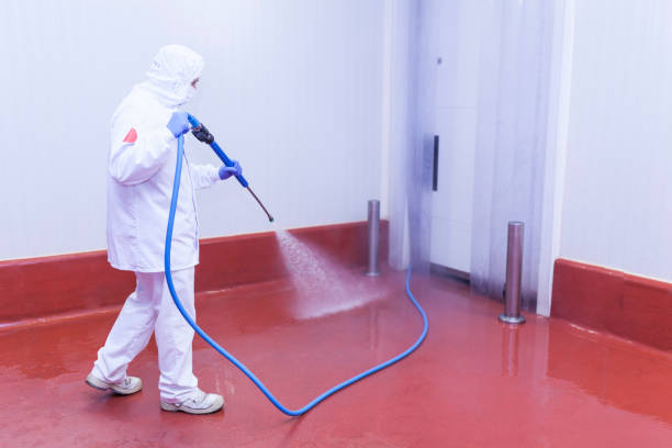Best House Exterior Washing  in Nags Head, NC
